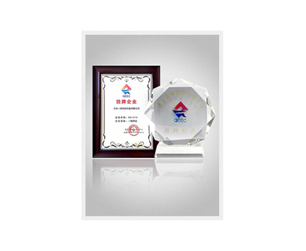 企業上市股權證書