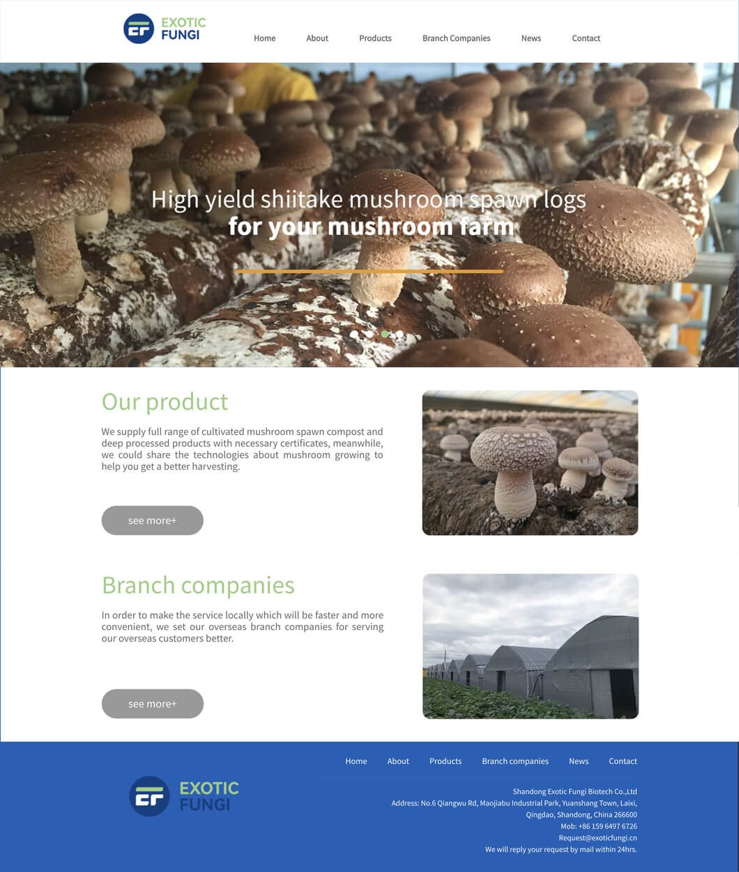 艾澤福吉.jpg 艾澤福吉.jpg